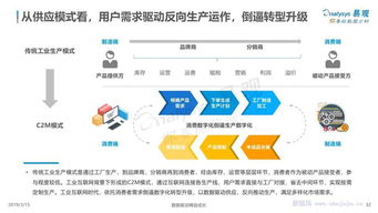中國(guó)工業(yè)互聯(lián)網(wǎng)數(shù)字化發(fā)展專題分析 數(shù)據(jù)服務(wù)的新藍(lán)海